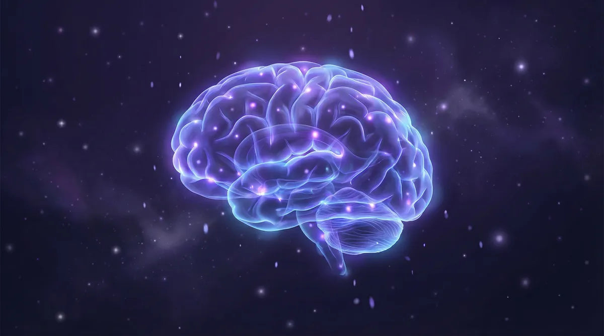 香港失眠問題全解析：為什麼我們總是睡不好？